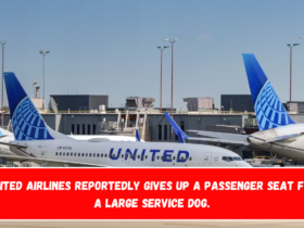 United Airlines reportedly gives up a passenger seat for a large service dog.