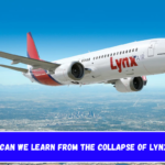 What Can We Learn From the Collapse of Lynx Air