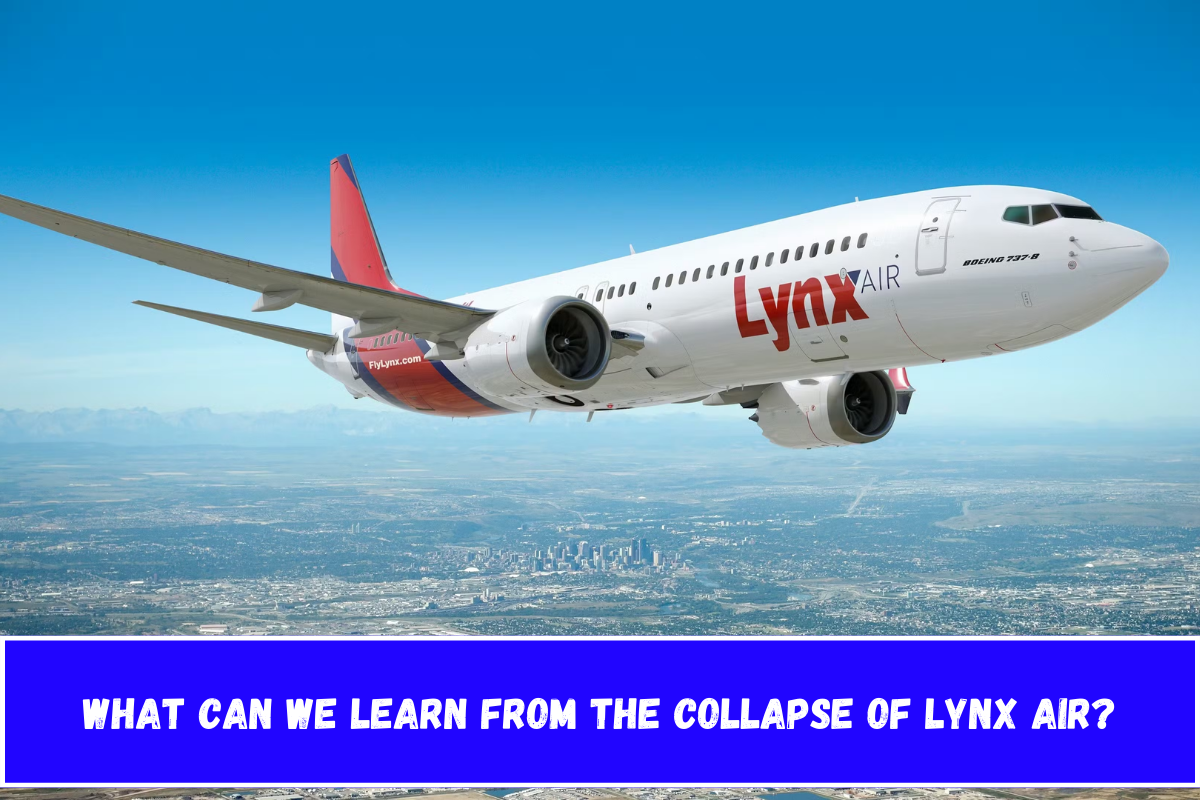 What Can We Learn From the Collapse of Lynx Air