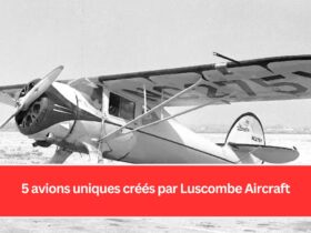 5 avions uniques créés par Luscombe Aircraft