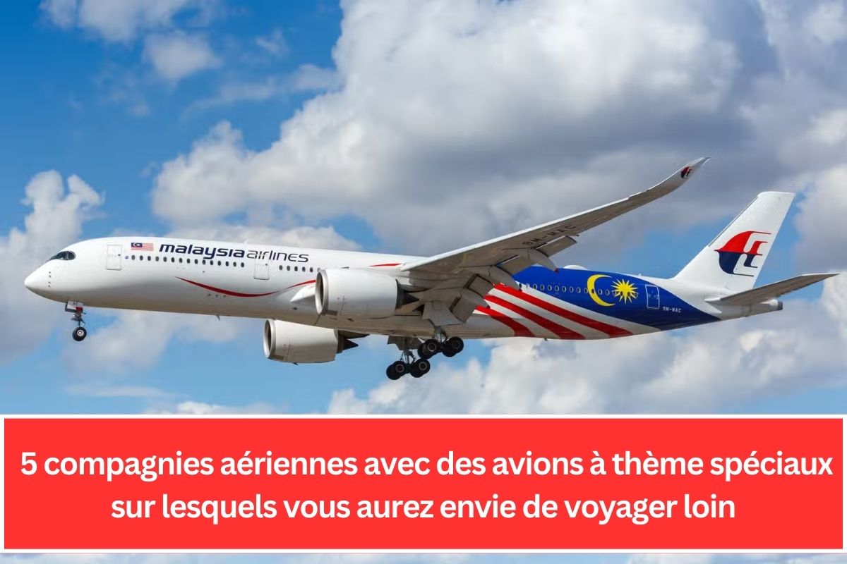 5 compagnies aériennes avec des avions à thème spéciaux sur lesquels vous aurez envie de voyager loin