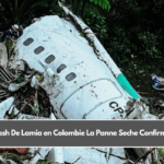 Crash De Lamia en Colombie La Panne Seche Confirmee