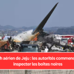 Crash aérien de Jeju : les autorités commencent à inspecter les boîtes noires