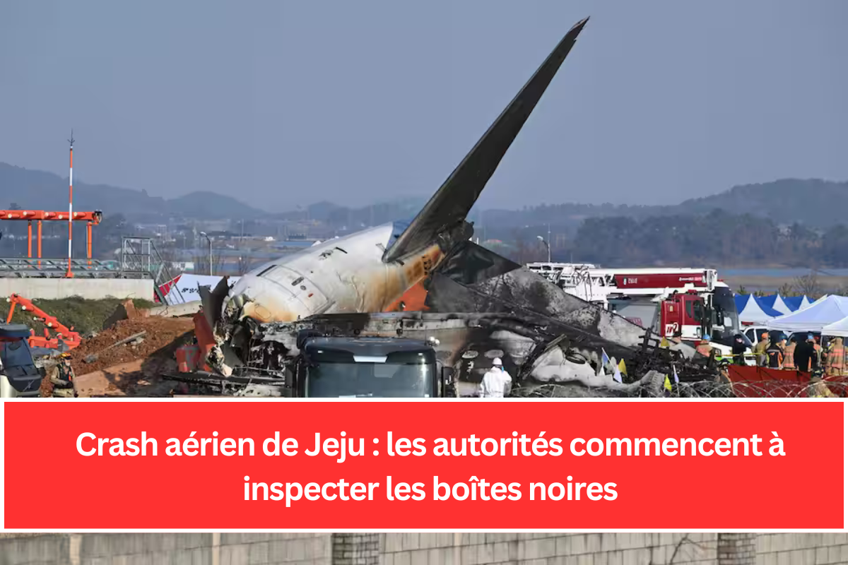 Crash aérien de Jeju : les autorités commencent à inspecter les boîtes noires