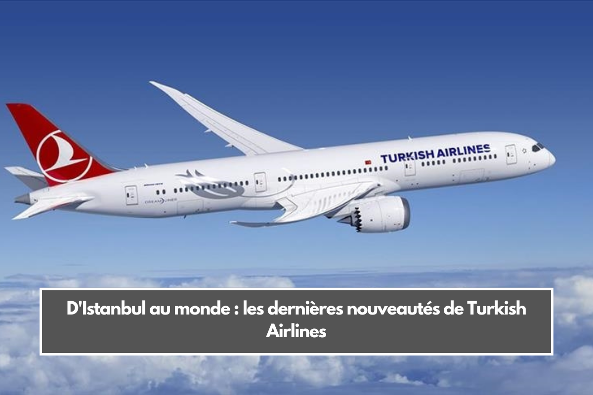 D'Istanbul au monde : les dernières nouveautés de Turkish Airlines