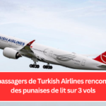 Des passagers de Turkish Airlines rencontrent des punaises de lit sur 3 vols