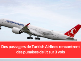 Des passagers de Turkish Airlines rencontrent des punaises de lit sur 3 vols