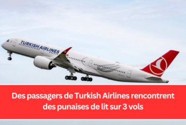 Des passagers de Turkish Airlines rencontrent des punaises de lit sur 3 vols