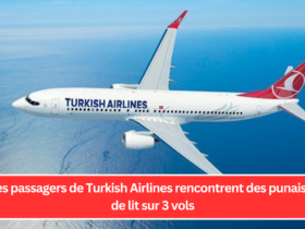 Des passagers de Turkish Airlines rencontrent des punaises de lit sur 3 vols