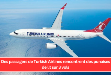 Des passagers de Turkish Airlines rencontrent des punaises de lit sur 3 vols