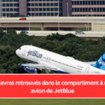 Deux cadavres retrouvés dans le compartiment à roue d'un avion de JetBlue