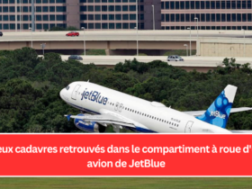 Deux cadavres retrouvés dans le compartiment à roue d'un avion de JetBlue