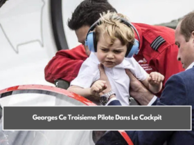 Georges Ce Troisieme Pilote Dans Le Cockpit