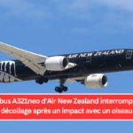 L'Airbus A321neo d'Air New Zealand interrompt son décollage après un impact avec un oiseau