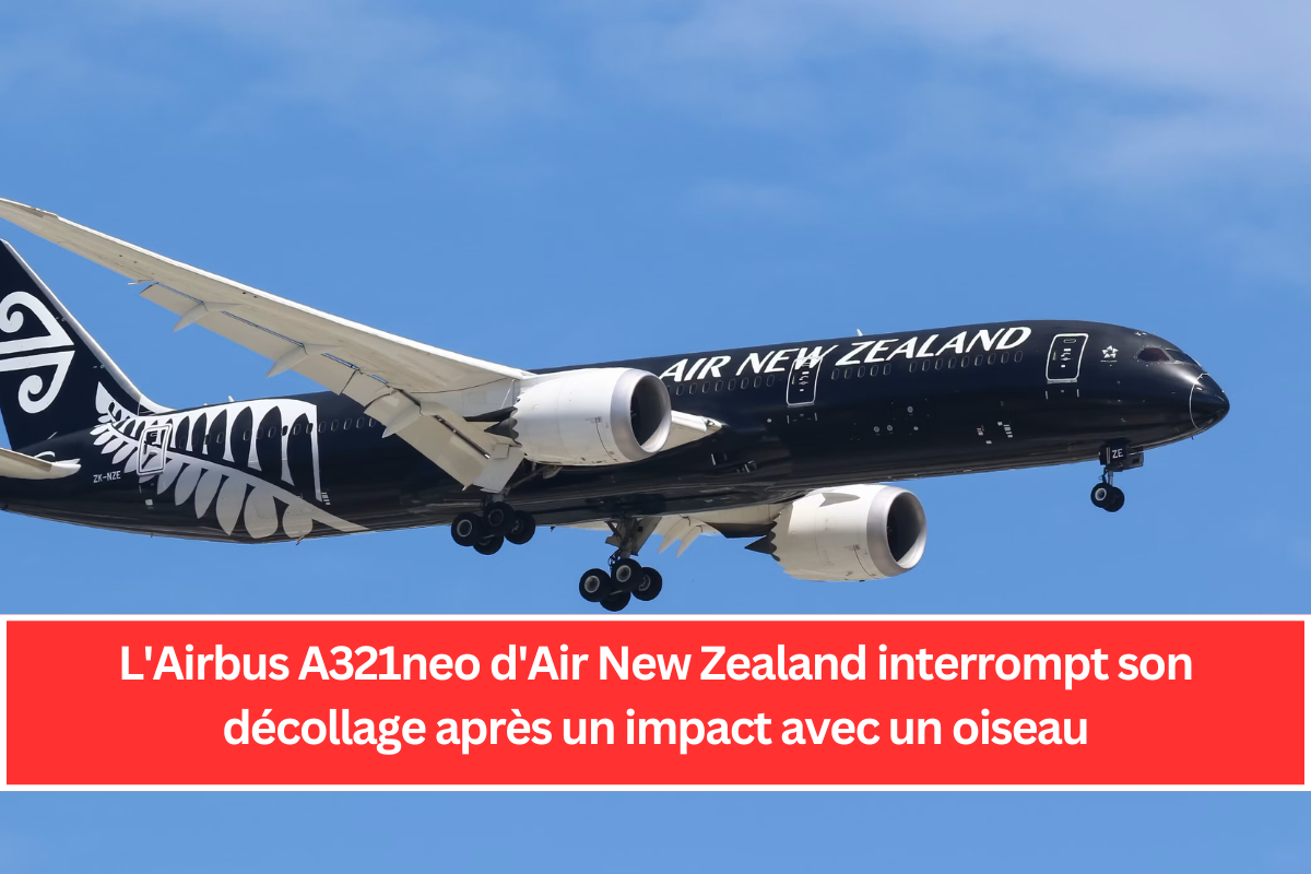 L'Airbus A321neo d'Air New Zealand interrompt son décollage après un impact avec un oiseau