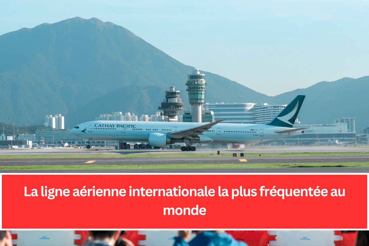 La ligne aérienne internationale la plus fréquentée au monde