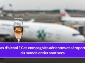 Pas d'alcool ? Ces compagnies aériennes et aéroports du monde entier sont secs