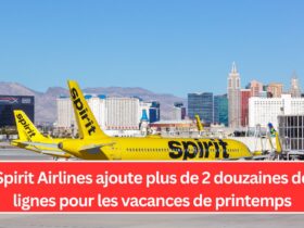 Spirit Airlines ajoute plus de 2 douzaines de lignes pour les vacances de printemps