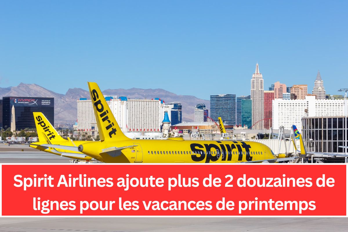 Spirit Airlines ajoute plus de 2 douzaines de lignes pour les vacances de printemps