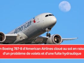 Un Boeing 787-8 d'American Airlines cloué au sol en raison d'un problème de volets et d'une fuite hydraulique