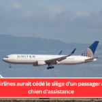 United Airlines aurait cédé le siège d'un passager à un gros chien d'assistance