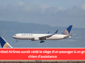 United Airlines aurait cédé le siège d'un passager à un gros chien d'assistance