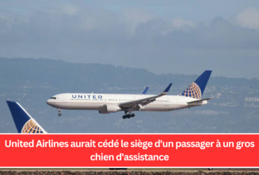 United Airlines aurait cédé le siège d'un passager à un gros chien d'assistance