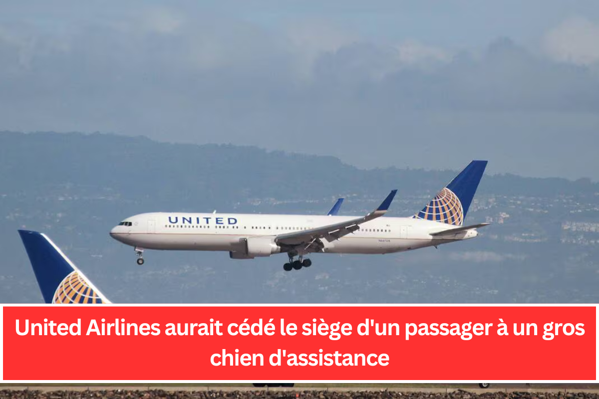 United Airlines aurait cédé le siège d'un passager à un gros chien d'assistance