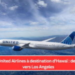 Vol d'United Airlines à destination d'Hawaï : demi-tour vers Los Angeles