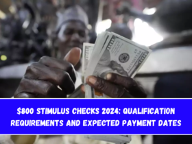 $800 Stimulus Checks 2024 Qualification Requirements and Expected Payment Dates