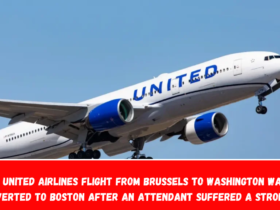 A United Airlines flight from Brussels to Washington was diverted to Boston after an attendant suffered a stroke.