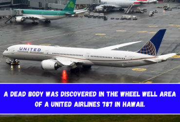 A dead body was discovered in the wheel well area of a United Airlines 787 in Hawaii.