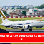 Ambani Boeing 737 MAX Jet Where does it fly and who pilots it