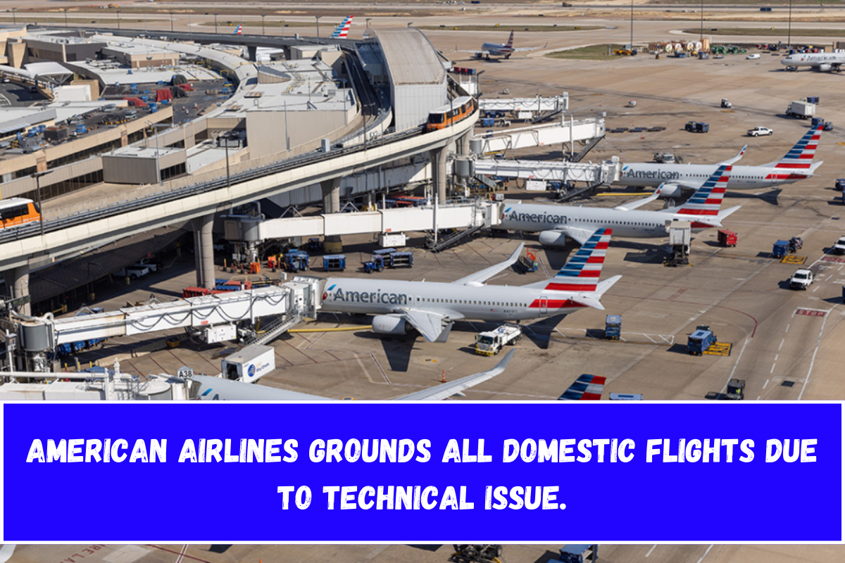 American Airlines Grounds All Domestic Flights Due to Technical Issue.