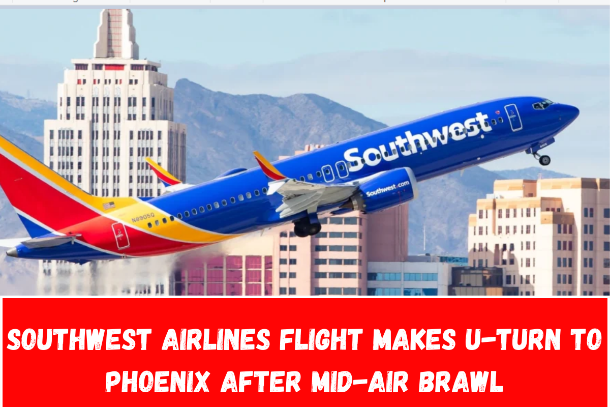 Southwest Airlines Flight Makes U-turn to Phoenix After Mid-Air Brawl