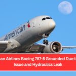 American Airlines Boeing 787-8 Grounded Due to Flaps Issue and Hydraulics Leak