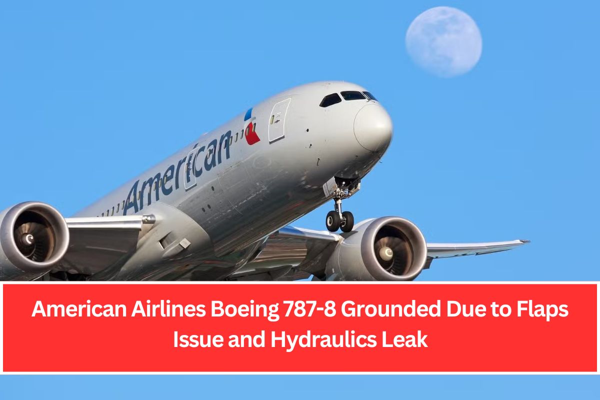 American Airlines Boeing 787-8 Grounded Due to Flaps Issue and Hydraulics Leak