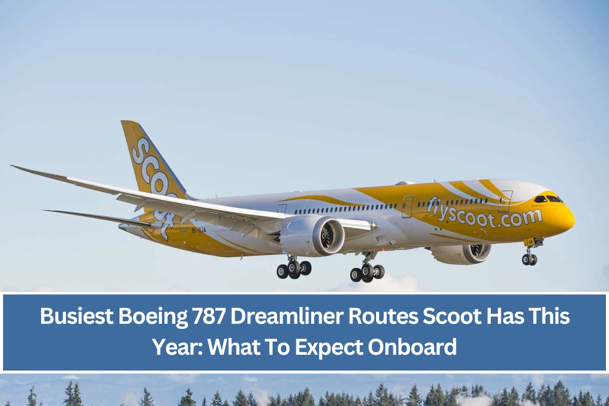 Busiest Boeing 787 Dreamliner Routes Scoot Has This Year: What To Expect Onboard