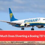 How Much Does Diverting a Boeing 737 Cost?