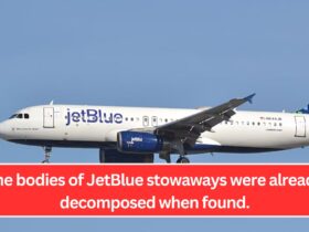 The bodies of JetBlue stowaways were already decomposed when found.