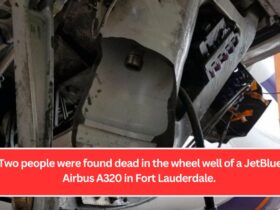 Two people were found dead in the wheel well of a JetBlue Airbus A320 in Fort Lauderdale.